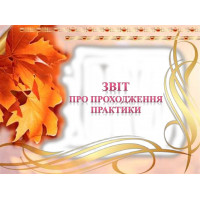 Звіт про проходження навчальної (ознайомчої) практики на базі Дніпропетровської митниці ДФС